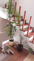 Продаєтся термобудинок в центрі міста фото 8 Продаєтся термобудинок в центрі міста фото 8