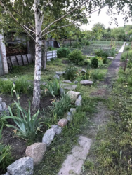 Продаєтся будинок в районі Пивзавода фото 7 Продаєтся будинок в районі Пивзавода фото 7