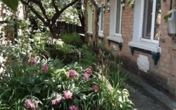 Продается дом на Балашовке фото 1 Продается дом на Балашовке фото 1