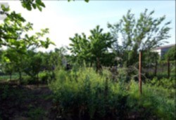 Продам 2 этажный дом на Соколовке, торг фото 3 Продам 2 этажный дом на Соколовке, торг фото 3