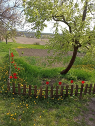 Продается дом на Балашовке фото 9 Продается дом на Балашовке фото 9