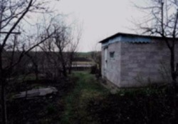 Продается 2-х этажный дом в с. Новая Павловка фото 1 Продается 2-х этажный дом в с. Новая Павловка фото 1