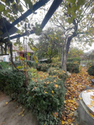 ������ ��������� ������� �������, ������� ����������� ���� 13