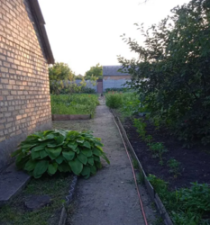 Продаєтся будинок в районі Нова Балашовка фото 3 Продаєтся будинок в районі Нова Балашовка фото 3