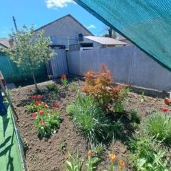 Продам пів будинку, район Бєляєва, фото 11 Продам пів будинку, район Бєляєва, фото 11