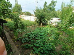 Продаєтся півбудинку в районі Велика Балка фото 2 Продаєтся півбудинку в районі Велика Балка фото 2