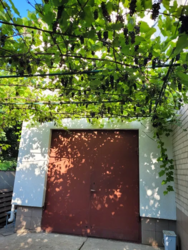 Продається будинок в районі Новоолексіївка фото 4 Продається будинок в районі Новоолексіївка фото 4