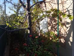 Продам будинок, р-н Кущівка фото 3 Продам будинок, р-н Кущівка фото 3