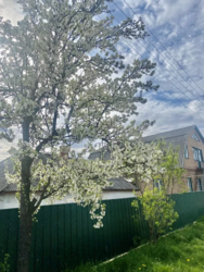 Продається будинок в районі Звадівка фото 4 Продається будинок в районі Звадівка фото 4