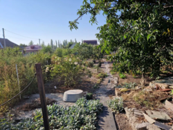 Продається півбудинка з окремим двором на початку района Кущавка фото 6 Продається півбудинка з окремим двором на початку района Кущавка фото 6