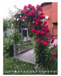 Продам дім Центр фото 6 Продам дім Центр фото 6