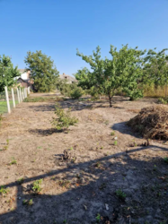 Продається півбудинка з окремим двором на початку района Кущавка фото 7 Продається півбудинка з окремим двором на початку района Кущавка фото 7