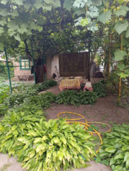 Продам будинок, р-н вул. Куропятнікова фото 1 Продам будинок, р-н вул. Куропятнікова фото 1