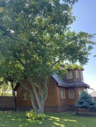 Продається будинок в районі Стара Балашівка фото 2 Продається будинок в районі Стара Балашівка фото 2