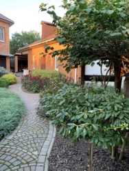 Продаєтся будинок в районі Новомиколаївки фото 2 Продаєтся будинок в районі Новомиколаївки фото 2