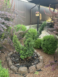 Продам дом в Лесопарковой зоне возле озера пер. Куринной. фото 14 Продам дом в Лесопарковой зоне возле озера пер. Куринной. фото 14