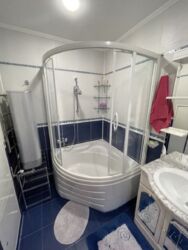 Продається будинок в районі Стара Балашівка фото 10 Продається будинок в районі Стара Балашівка фото 10