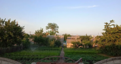 Продаєтся будинок в районі Нова Балашовка фото 4 Продаєтся будинок в районі Нова Балашовка фото 4