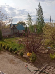 Продається будинок в районі Молодіжний, велика земельна ділянка фото 9 Продається будинок в районі Молодіжний, велика земельна ділянка фото 9