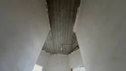 ��������� ������� ������������, �����������, ˺����� ���� 11