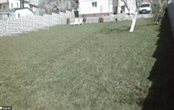 Продається будинок Хмельницька, Хмельницький, Південно-Західний, Сонячна фото 8 Продається будинок Хмельницька, Хмельницький, Південно-Західний, Сонячна фото 8