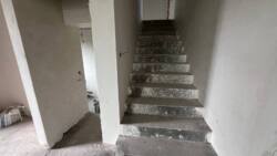 ��������� ������� ������������, �����������, ˺����� ���� 18