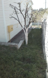 Продається будинок Хмельницька, Хмельницький, Південно-Західний, Сонячна фото 6 Продається будинок Хмельницька, Хмельницький, Південно-Західний, Сонячна фото 6