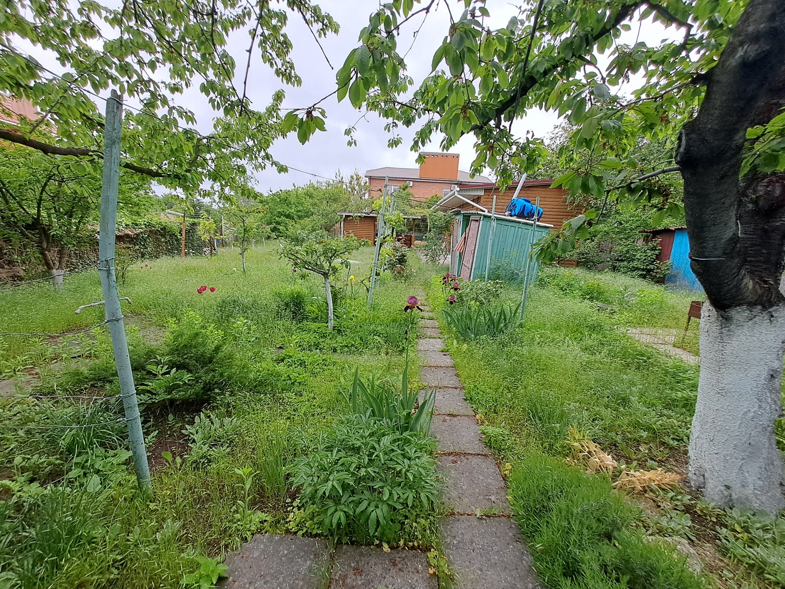 Будинок біля моря для відпочинку фото 1 Будинок біля моря для відпочинку фото 1