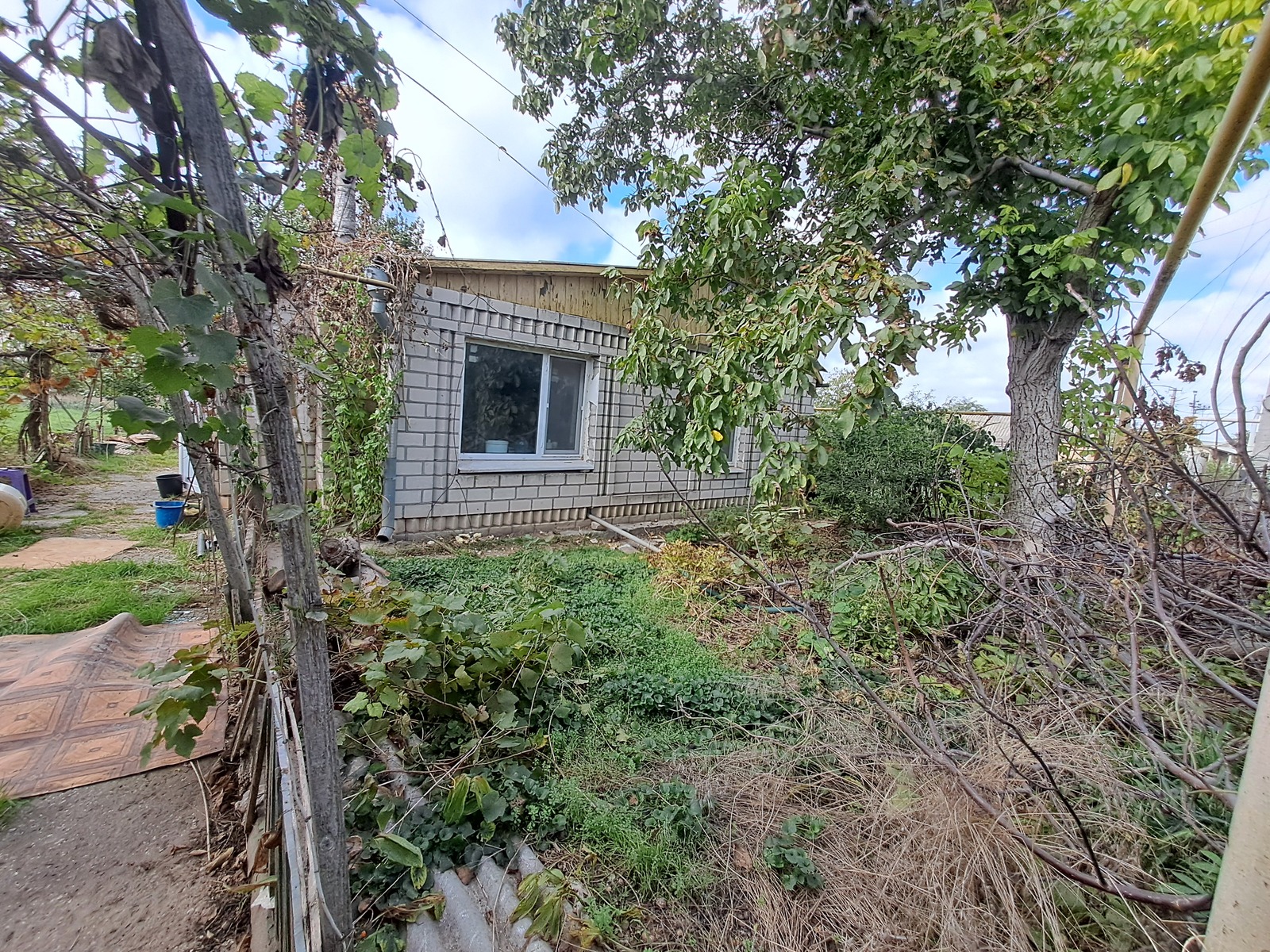 Продам капитальный дом в Александровке фото 1 Продам капитальный дом в Александровке фото 1