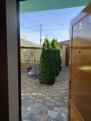 ��������, ��������� ��� � ������������� ���� 4