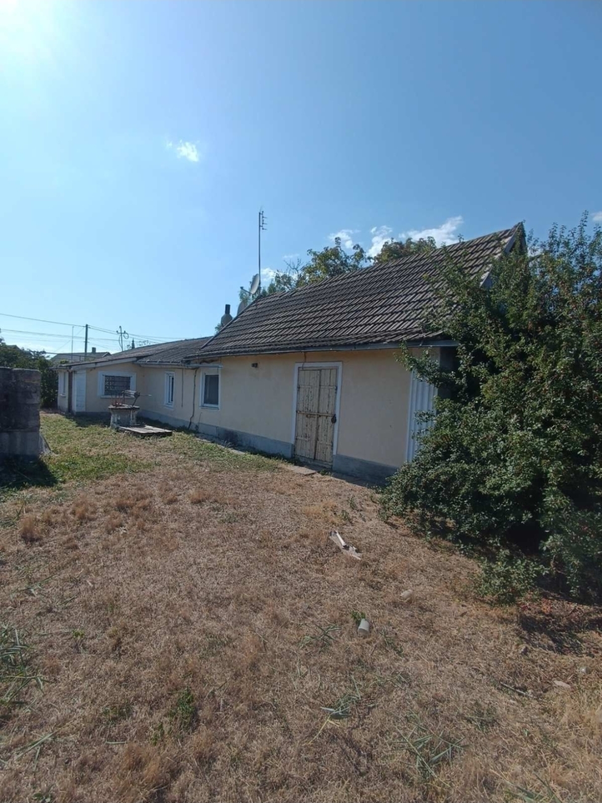 Продам дом в Грибовке фото 1 Продам дом в Грибовке фото 1