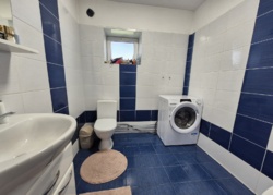 ������ ��� ����� ����� ������������� ���� 27