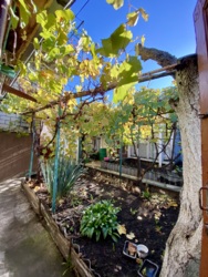 Дом в пригороде Черноморске фото 34 Дом в пригороде Черноморске фото 34