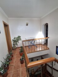 ������ �������� ��� � ����������� ���� 38