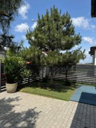 ������ ��� ������� ������ ������ ��� ���� 4