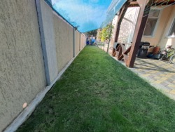 ������ ����������� ��� � ���������� ���� 29