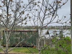 ��� � ����� ���� 32