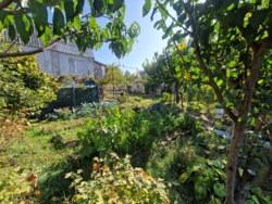 Продам дом в Великодолинском возле озера фото 2 Продам дом в Великодолинском возле озера фото 2