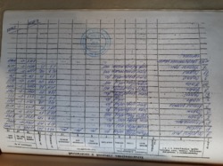     33