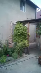 ����������� ��������� ��� � ������������� ���� 11