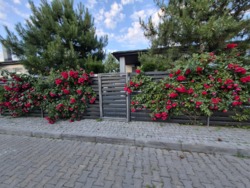 Продам дом дуплекс Одесса Зелёный Гай фото 68 Продам дом дуплекс Одесса Зелёный Гай фото 68