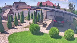 ����� ������������ ��� ���� 49