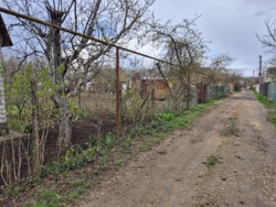 ���� � ��������� ����������� ���� 14