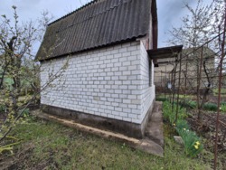 ���� � ��������� ����������� ���� 4