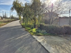 Продам дом в пригороде Одессы и Черноморска с.Малодолинское фото 45 Продам дом в пригороде Одессы и Черноморска с.Малодолинское фото 45