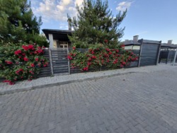 Продам дом дуплекс Одесса Зелёный Гай фото 66 Продам дом дуплекс Одесса Зелёный Гай фото 66