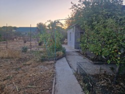 ������ ��� � ��������������� ���� 4