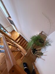 ������ ����������� ��� ����� ������ ���� 13