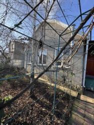 ������ ����������� ��� � �� ����� ��������������� ���� 24