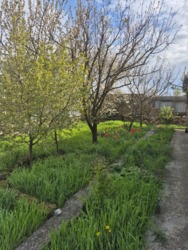 ��� � ������ ���������������� ���� 10